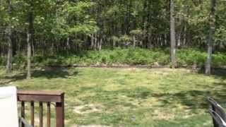 117 NW Whitlock, Lees Summit, MO  64081 - MLS#-1774851