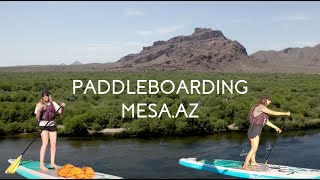 PADDLEBOARD VLOG: SALT RIVER AZ!!!