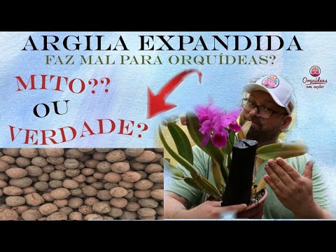 Vídeo: Orquídia En Argila Expandida: Secrets Creixents. Com Regar I Plantar? Necessiteu Argila Expandida Per A Una Orquídia?