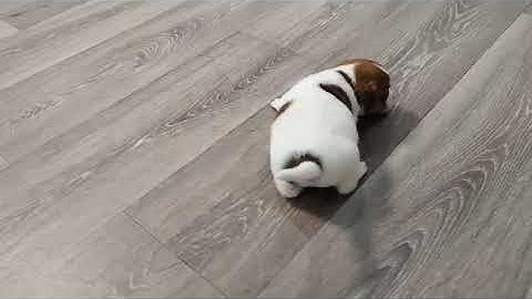 video 2024 01 19 21 07 54