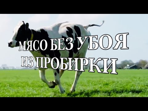 Искусственное мясо, что это? Будущее продуктов питания.