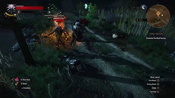 The Witcher 3 Rotfiend Model Glitch