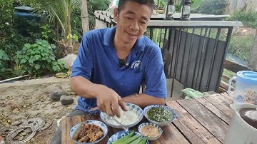 bữa cơm trưa cá đối kho tiêu l phước hồ channel