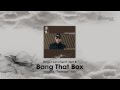 Roger Sanchez ft. Terri B - Bang That Box (Roger's Release Mix)