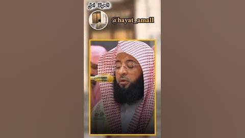 ✨🗣️أروع تلاوة ترتاح لها النفس |بدر التركي... قمة الخشوع #تلاوة_خاشعة #قرآن_كريم #نور_القلوب