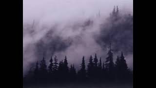 2010 + cloud rap + melancholy type beat - winter
