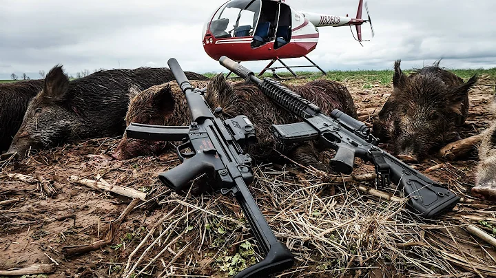 Pork Choppers Aviation - 468 Hog Helicopter Hunt (no music)