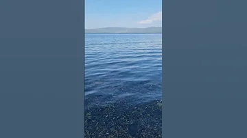 озеро Тургояк Миасс 24.06.23