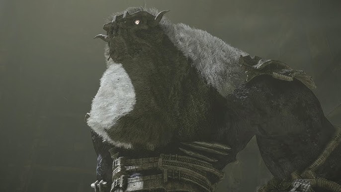 Shadow Of The Colossus HD