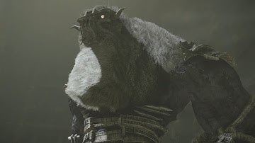 Shadow of the Colossus PS4: Colossus #6 Barba Boss Fight