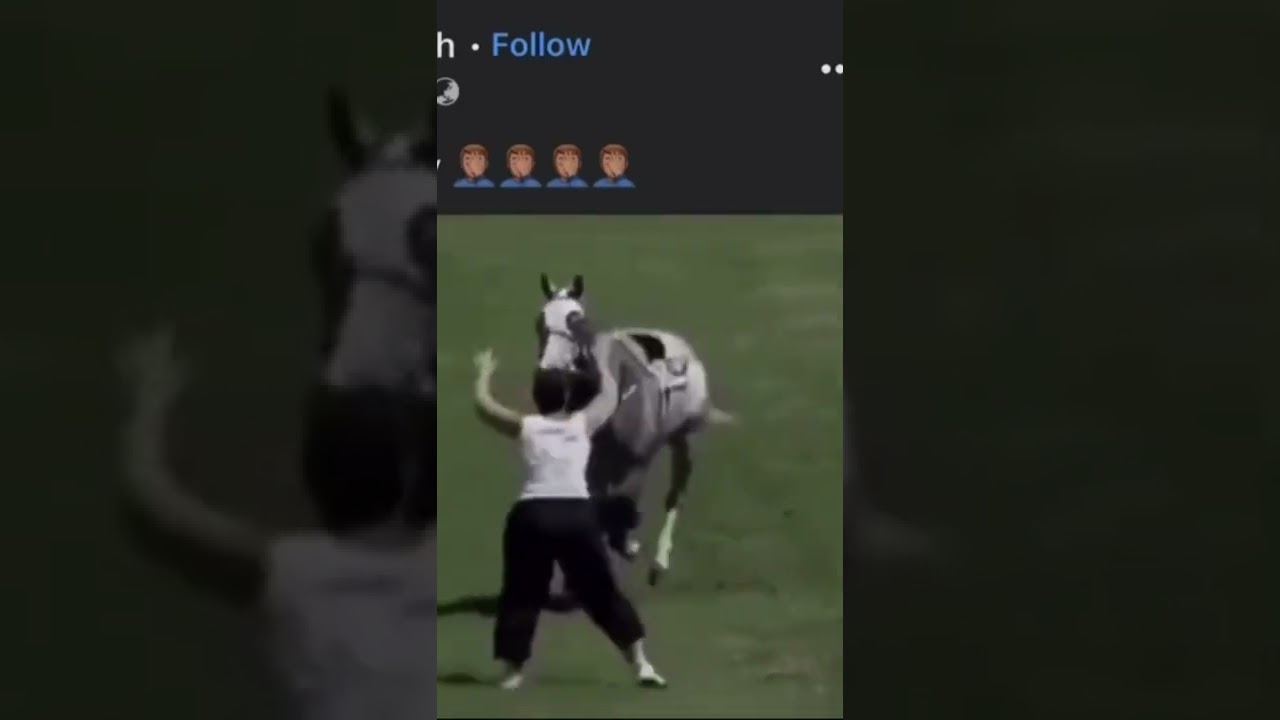Horse runs over lady 