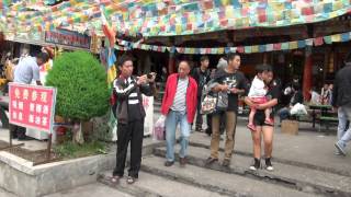 20120814樹正寨1