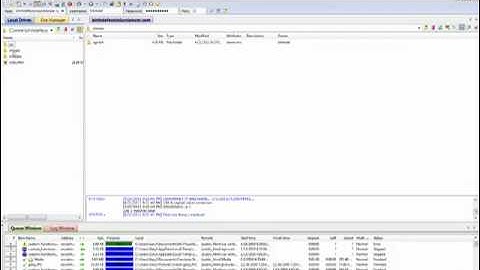 How To Use Cute FTP Software