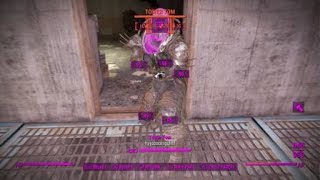 Fallout 4: Damn Dogmeat