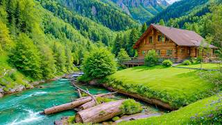 Música Tierna, Calma El Sistema Nervioso - Música Terapéutica Para El Corazón Y Los Vasos Sanguíneos screenshot 5