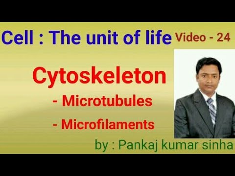 #Cytoskeleton#Microtubules#Microfilaments.  