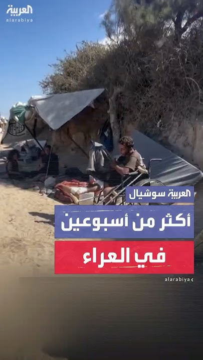   ..      
 - نشر قبل 9 دقيقة