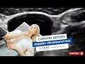 Carotid artery Doppler ultrasound test. How to perform a basic ultrasound carotid examination.