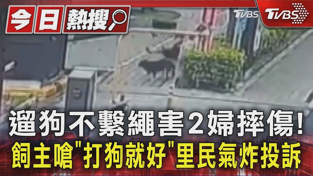 遛狗不繫繩害2婦摔傷!飼主嗆「打狗就好」　里民氣炸投訴｜TVBS新聞 @TVBSNEWS01