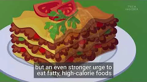 What Losing Weight Does To Your Body And Brain | The Human Body - DayDayNews