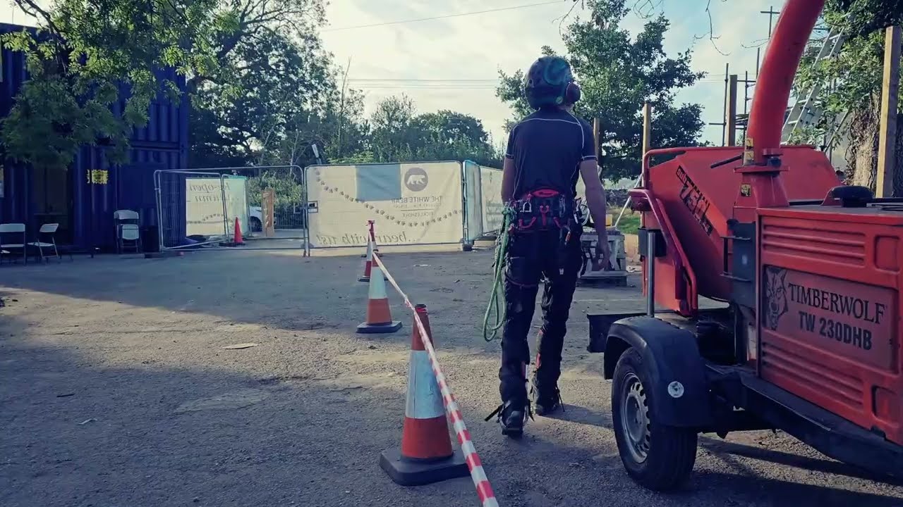 Qualitree Ltd: Safeguarding The White Bear Pub in Warlingham - Expert Ash Tree Dismantle