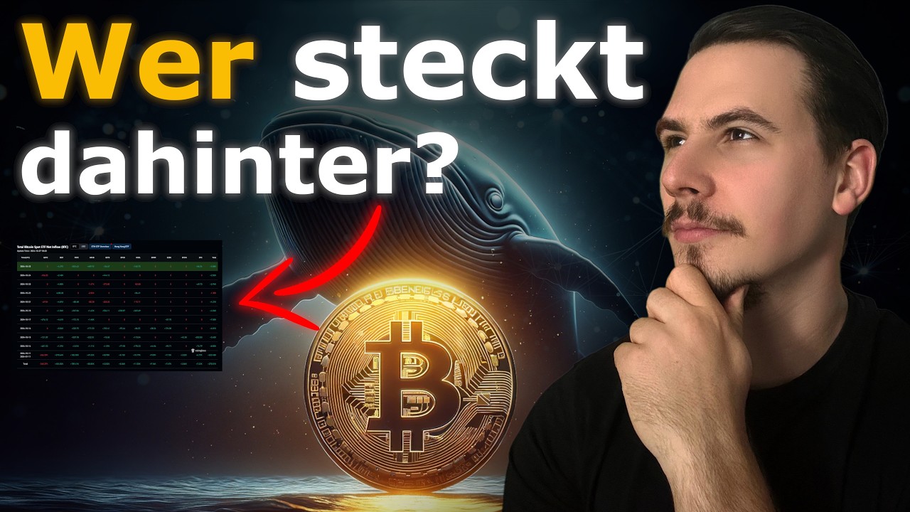 Bitcoin: Kaufte nur EIN Großinvestor?! Showdown im Dezember!