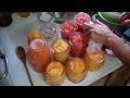 Canning Gratefruit, Oranges and Mandarins
