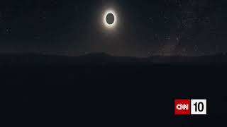 What Do Animals Do During A Solar Eclipse?