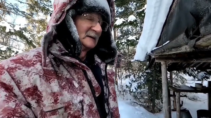 Еду в тайгу.  Добыча.  Стая волков.  Первый медведь из берлоги.