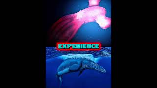 Nanaimoteuthis haggarti vs Mosasaurus Hoffmanni | #nanaimoteuthishaggarti #mosasaurus #paleoart
