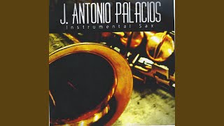 Video thumbnail of "J. Antonio Palacios - More Than a Woman (Instrumental)"