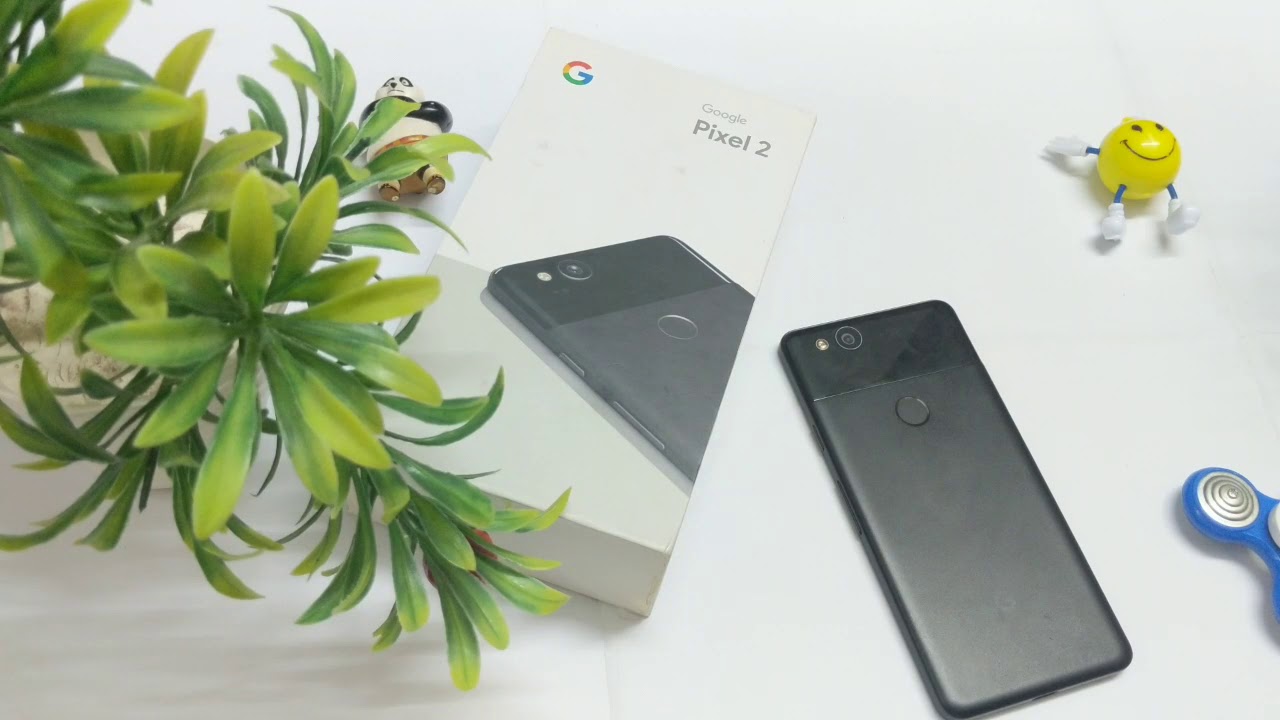 Truth About Google pixel 2 Water Test!