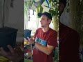 #ирга #саженец #растения