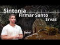 Osho  sintonia vibratria firmar santo ervas e seu podercurador