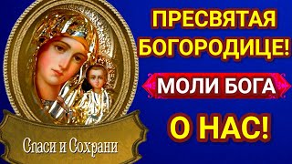 ПРЕСВЯТАЯ БОГОРОДИЦЕ! Помилуй моих родных! Прости меня, грешную! Моли Бога о нас!