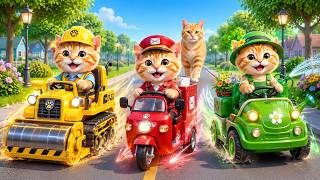 Mama Cat Trims Fur on the Farm and Makes Tiger Hat For Kittens At Home🐾🎩🐯