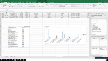 8  Cambiar nombre de campo en tabla dinamica