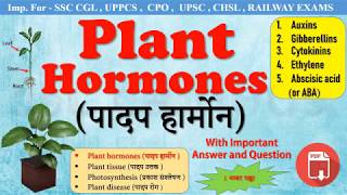 Plant Hormone(पादप हार्मोन) || Types of Plant Hormones || For SSC , BANK , RAILWAY, CLASS 10