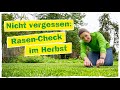 RASEN DÜNGEN IM HERBST: In 4 Schritten zu deinem Traumrasen 🍃
