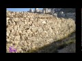 لما يعجز البشر110 
