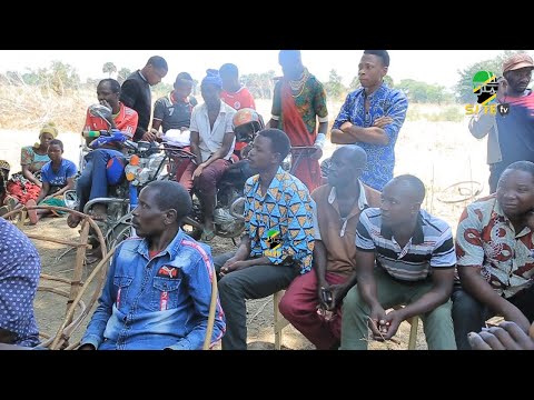 Video: Maua Meupe (picha 39): Majira Ya Joto Na Chemchemi, Kupanda Kwenye Ardhi Wazi, Maelezo Ya Anuwai 