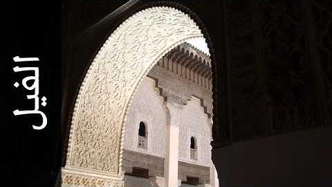 سورة الفيل مشاري العفاسي - Surah Al-Fil Mishary Alafasi