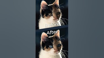 Photoshop Generative AI - How to Change Eye Colour #generativeai #photoshopai #photoshoptricks