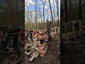 Do you prefer a maul or an axe? #wood #splittingfirewood #outdoors #choppingwood #woodsman