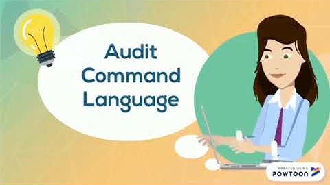 ACL(Audit Command Language)