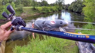 Fishing A Rat Lure For River Smallmouth