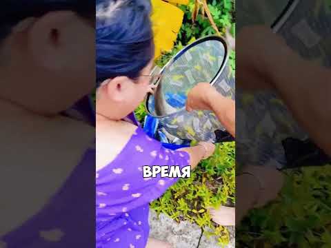 Что делать во время разлива реки?!😱😳