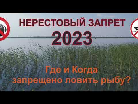 Нерестовый запрет 2023 / основные запреты / Башкирии
