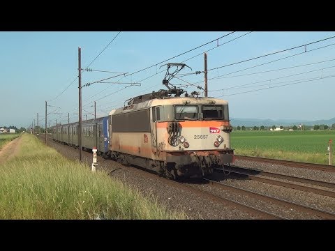 TER, TGV et Frets dans la plaine d'Alsace