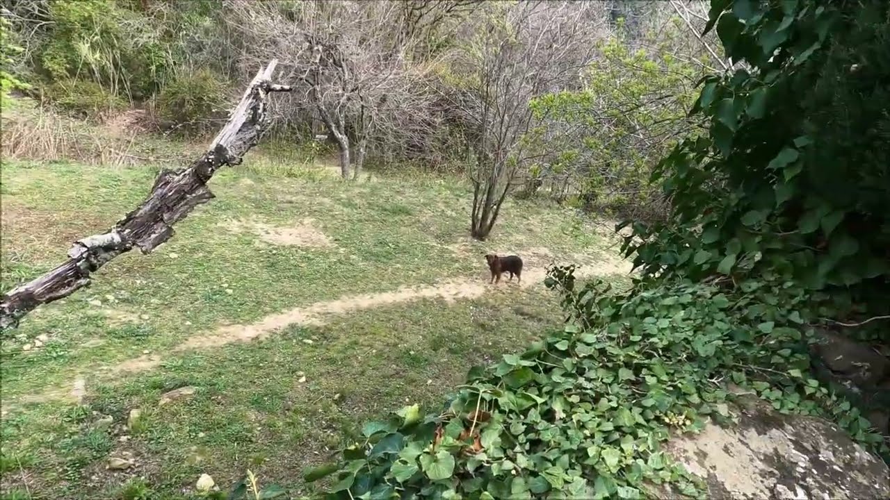 la Torre pujarnol (Spain 17834)